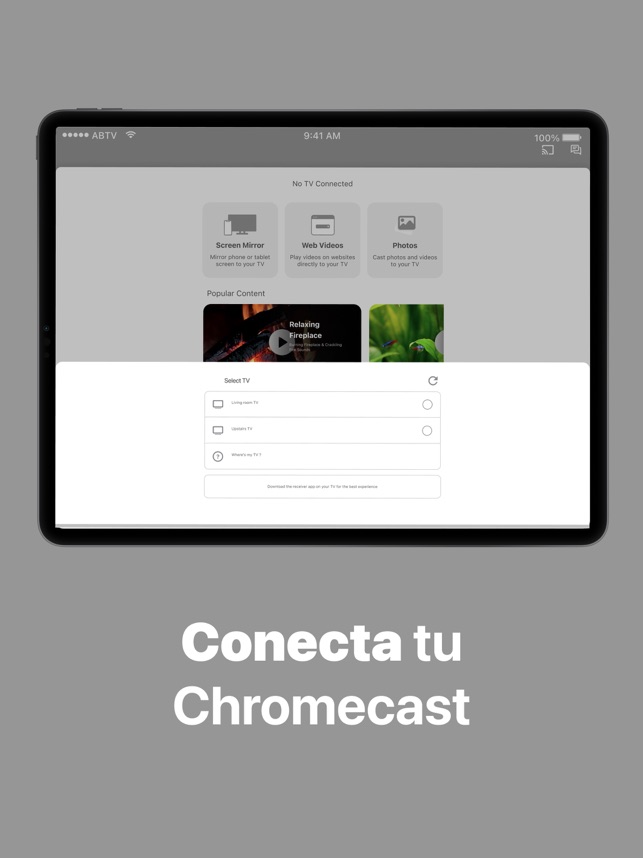 Screen Mirroring on Chromecast en App Store