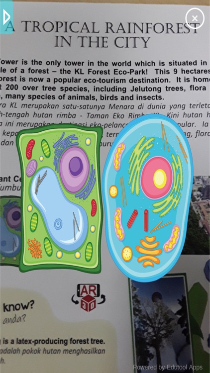 KL Tower EduPassport Secondary