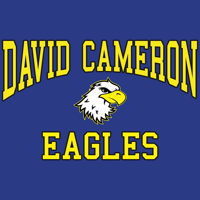 My David Cameron