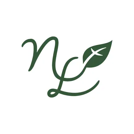 New Life Church Saugerties Cheats