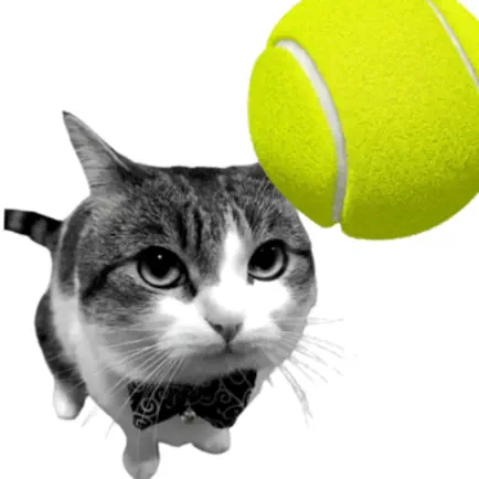 Cat Tennis - Meme Game Читы