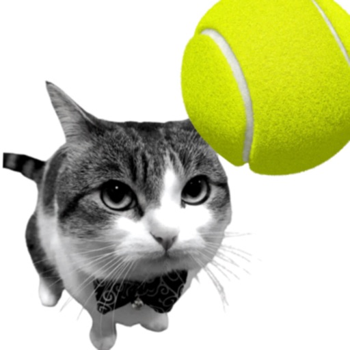 Cat Tennis - Meme Game iOS App