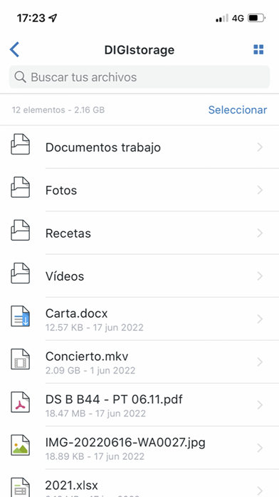 DIGI storage España Screenshot