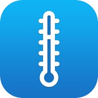 Real Digital Thermometer