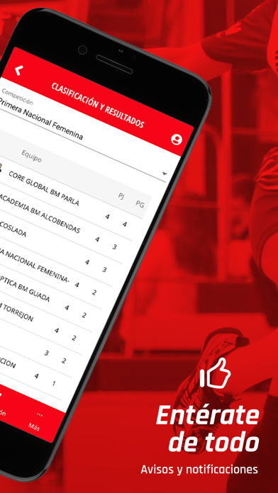 Federación Madrileña Balonmano Screenshot