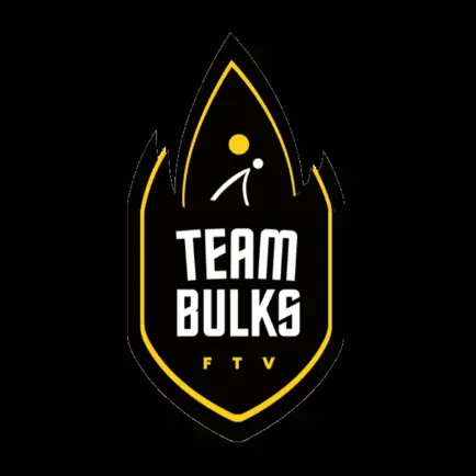 Team Bulks Читы