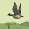 Duck Hunter - 3D Hunting Games icon