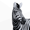 Investec Private Client - Investec Ltd