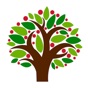 Fruit Patch App app download