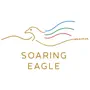 Soaring Eagle Media