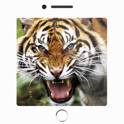 150+ Sounds of Animals iOS App