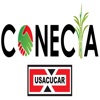Conecta Usacucar
