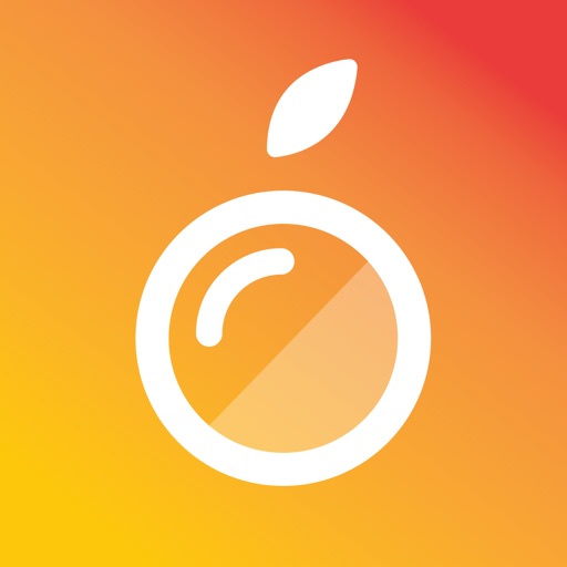 Food Lens AR icon