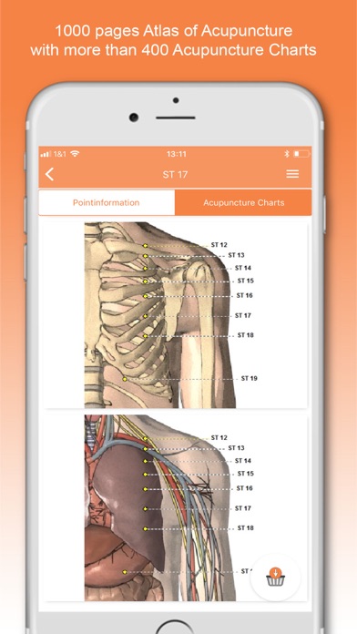 Shen-Acupuncture Screenshot