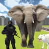 Elephant City Attack icon