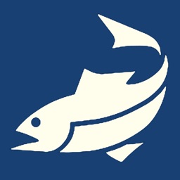 Fishing4Trepac
