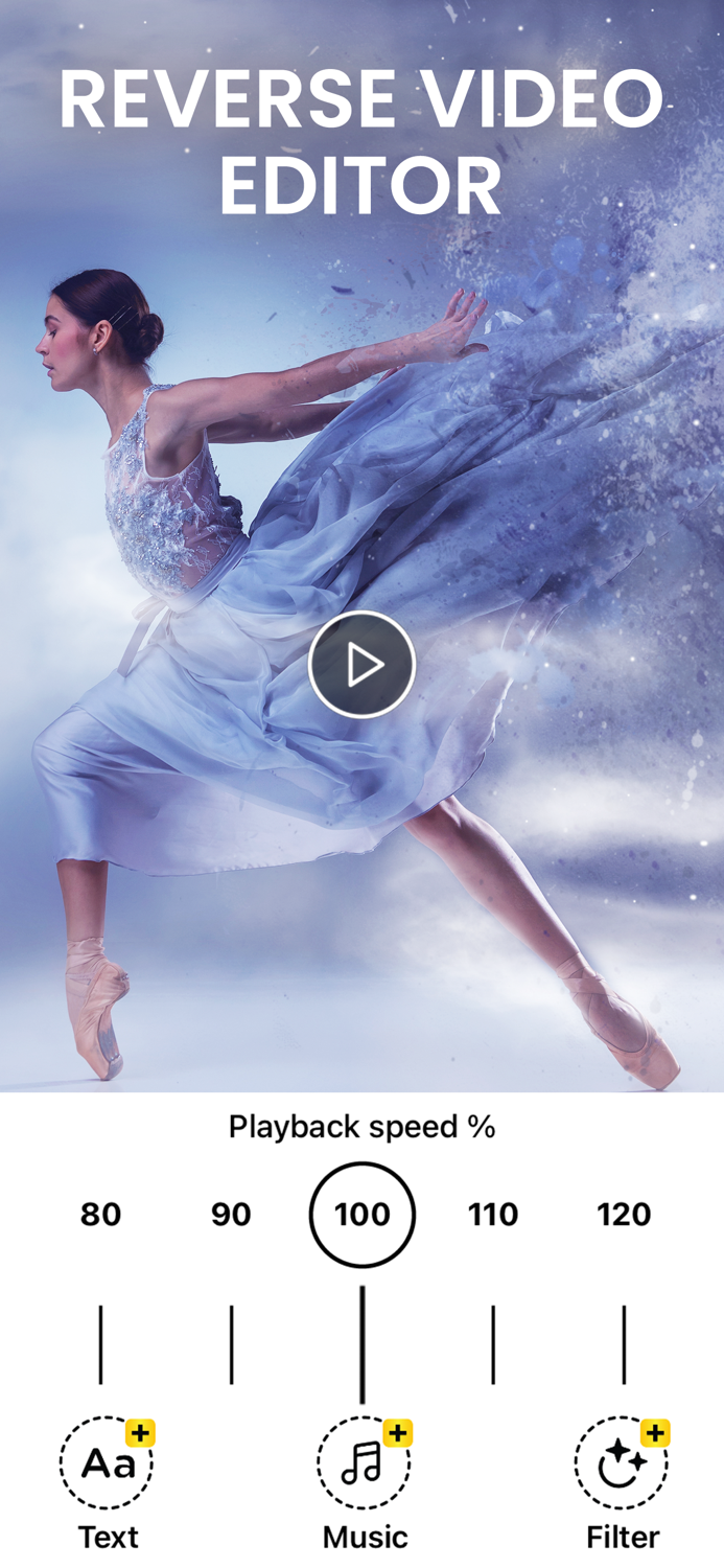 Reverse Camera -Reverser Video