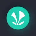 JioSaavn – Music  Podcasts
