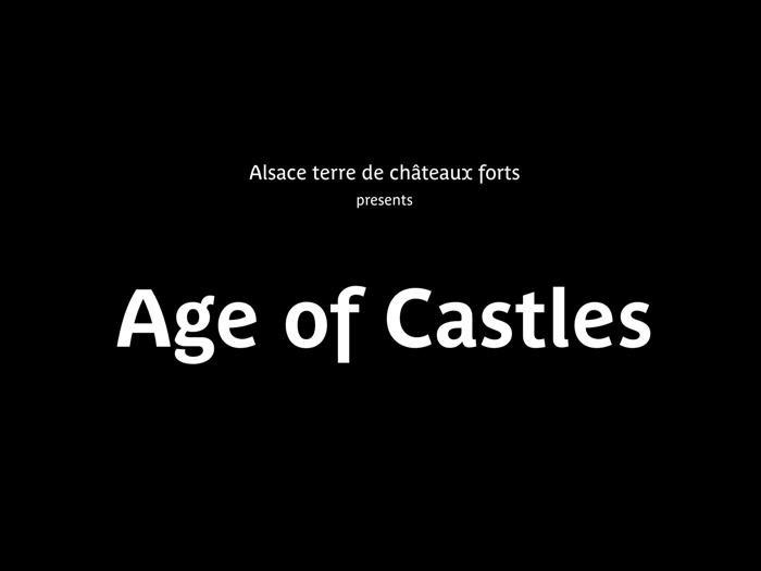 Alsace Age of Castles