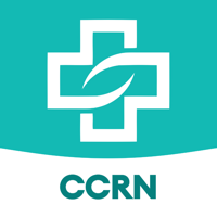 CCRN Test Prep 2024