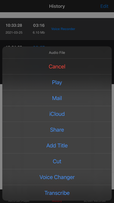 Voice Recorder, Voice Memos Screenshot