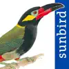 All Birds Guianas App Feedback