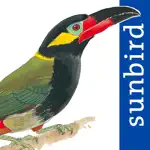 All Birds Guianas App Positive Reviews