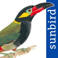 All Birds Guianas logo