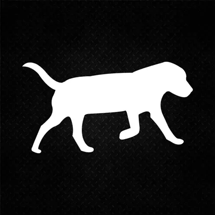 Dog Pacer Cheats