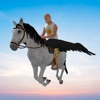 Icon Flying Unicorn Racing 3D