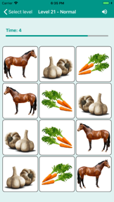 Brain game. Picture Match screenshot
