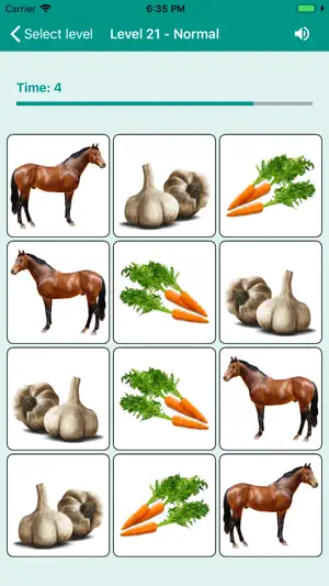 Brain game. Picture Match screenshot 5