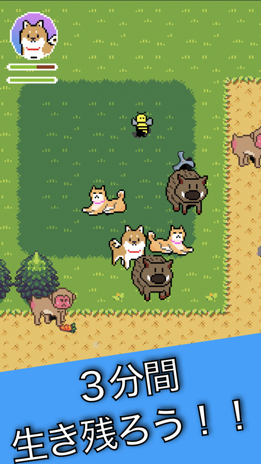 #1. 柴犬サバイバー (iOS) بواسطة: Kento Yamasaki