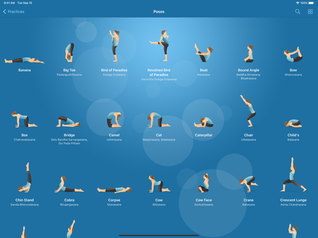 ‎Pocket Yoga Screenshot