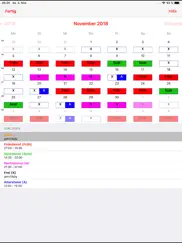 dienstplan-kalender ipad bildschirmfoto 2