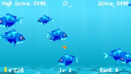 Game screenshot Fishio - Underwater Fish Tale hack