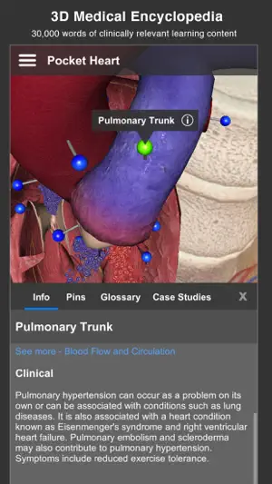 Pocket Heart screenshot 3