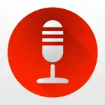 Dictaphone - Audio Recorder App Negative Reviews