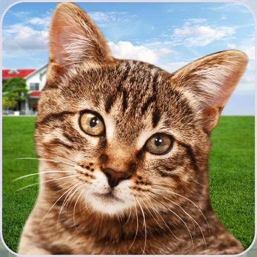 Cat Shelter Simulator: My Pet Icon