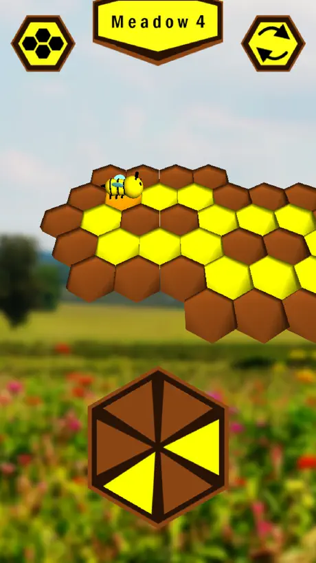 Neo Honeycomb Hop