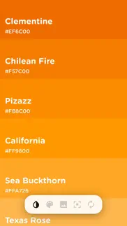 col.or - ar color name finder iphone screenshot 1