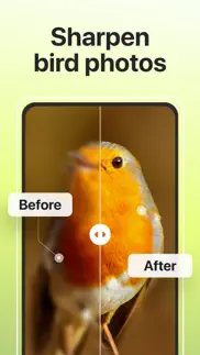 How to cancel & delete picture bird: birds identifier 3