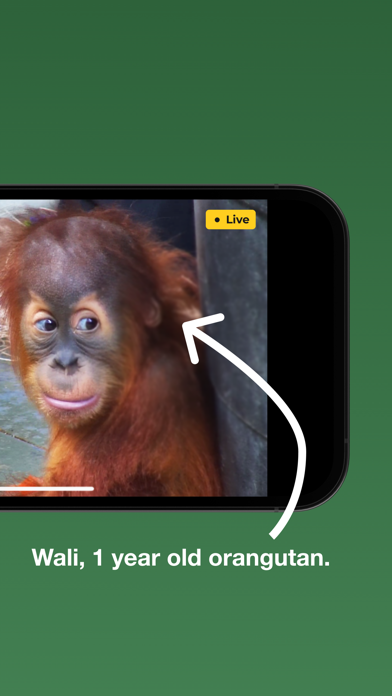 zoolife - Watch Animals Live Screenshot