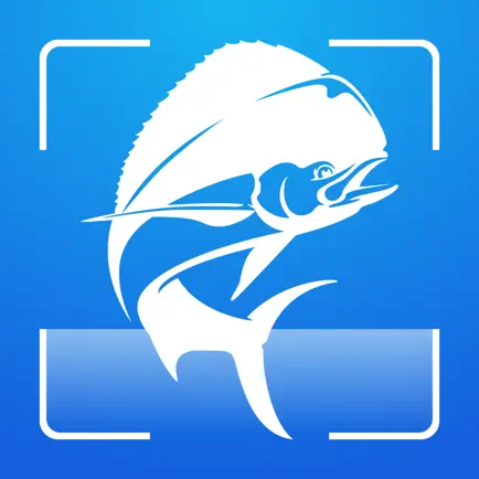 Fish Identification by Picture Cheats