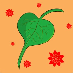 Mindfulness : Daily Focus