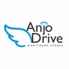 Anjo Drive Passageiro icon