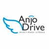 Anjo Drive Passageiro delete, cancel