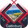 Gatlinburg City Tourism App Positive Reviews