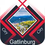 Gatlinburg City Tourism App Positive Reviews