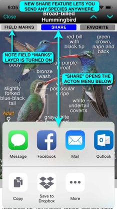 iBird Ultimate Guide to Birds screenshot 5